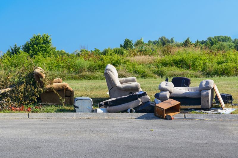 Couch Removal Service in Roseville, CA