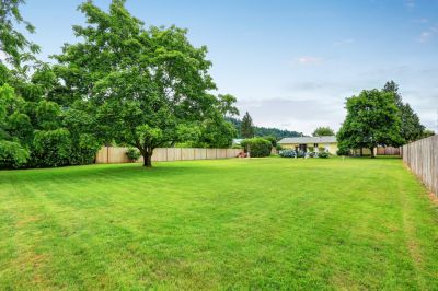 Free Up Space in Your Backyard.